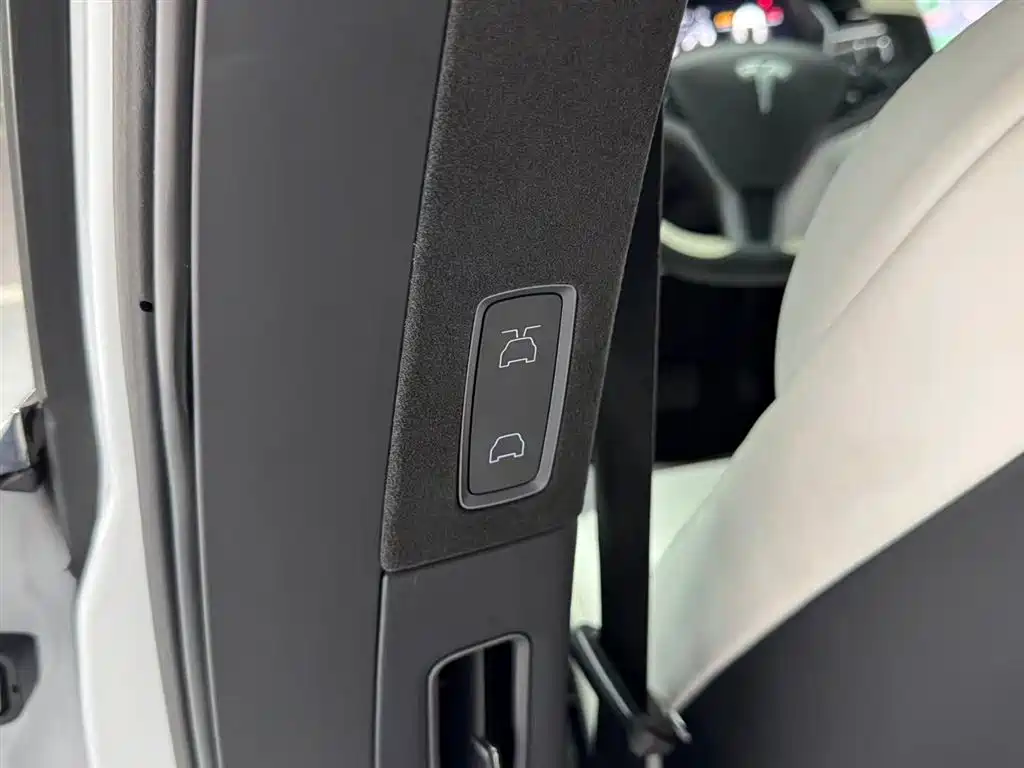 Tesla Model X 2019 — фото 10
