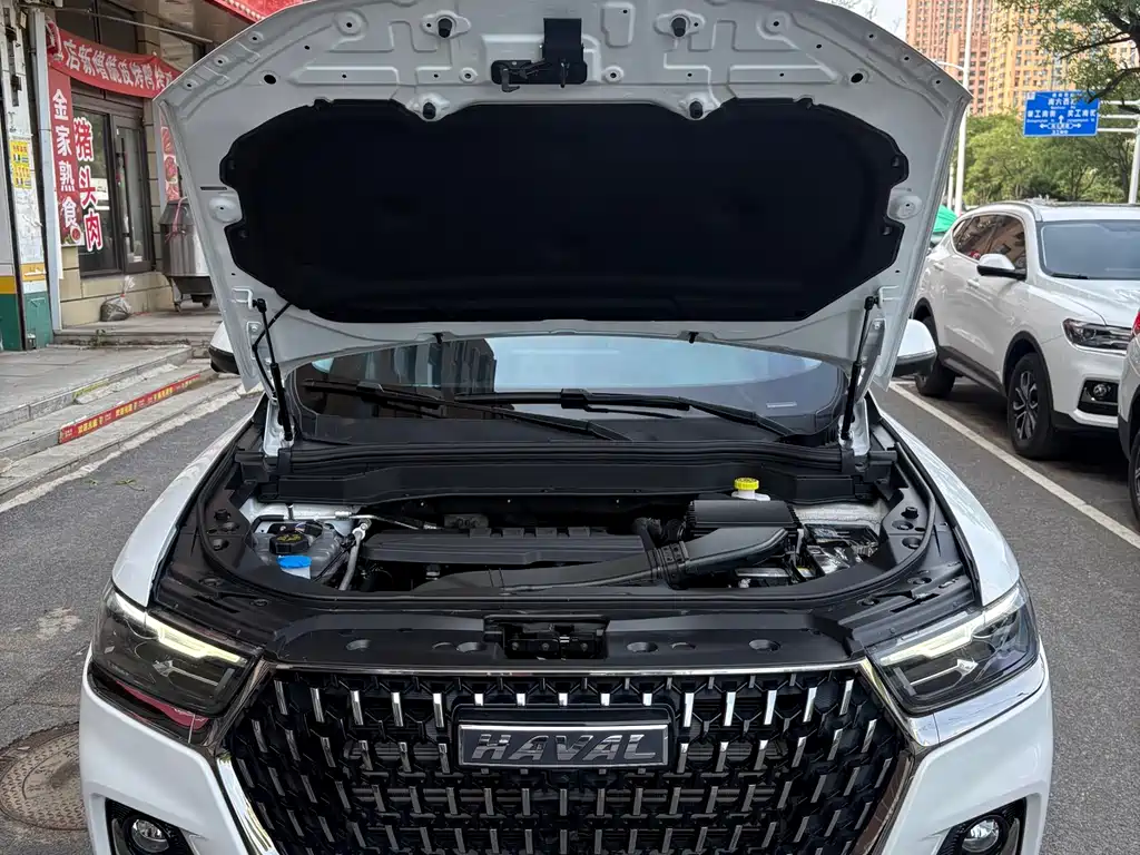 Haval H6 2023 — фото 24