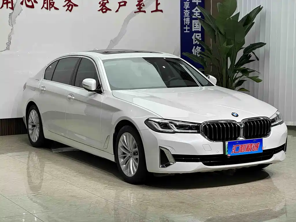 BMW 5 Series New Energy 2021 — фото 3