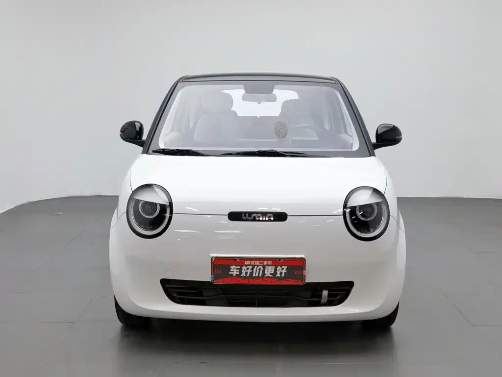 Qiyuan Lumin 2023