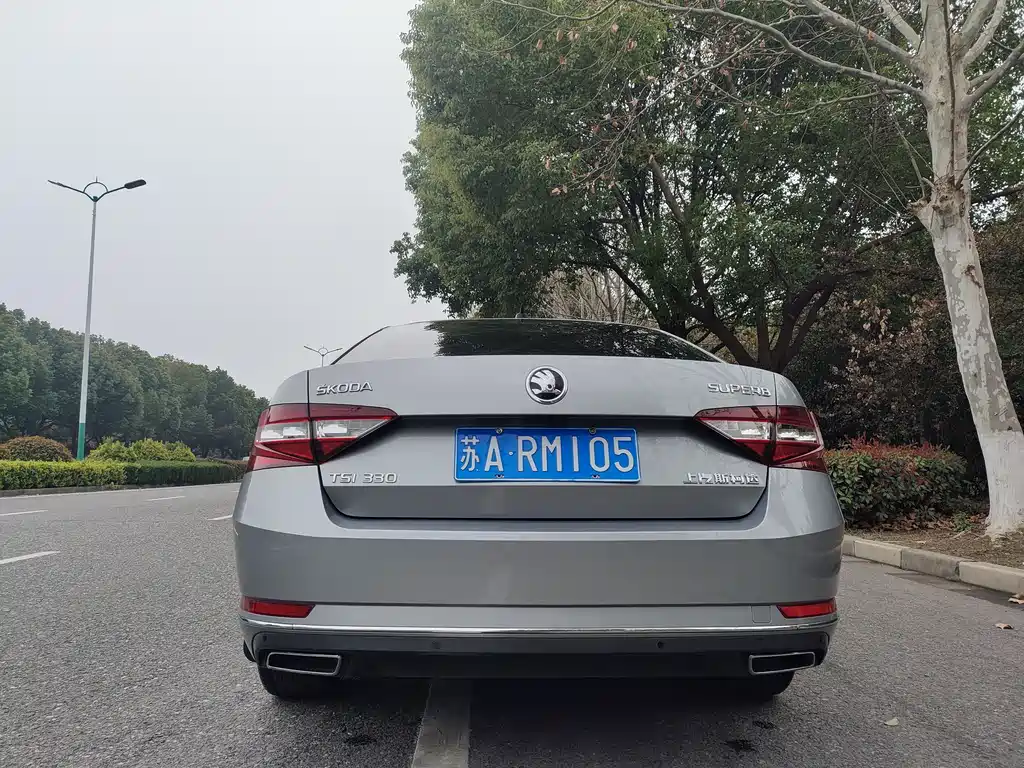 Skoda Speedy 2019