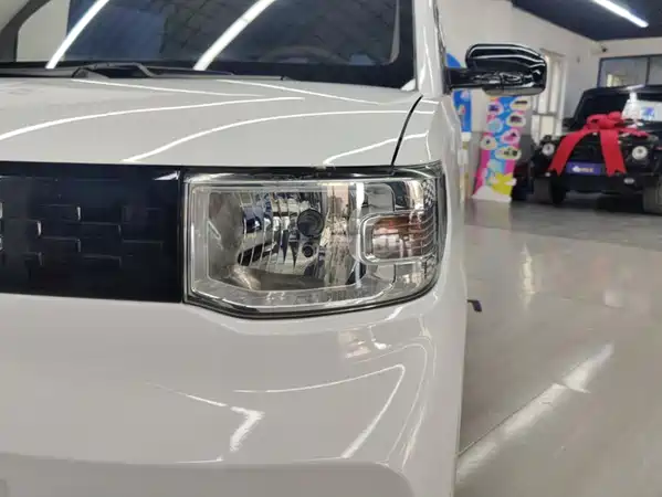 Wuling Hongguang MINIEV 2021