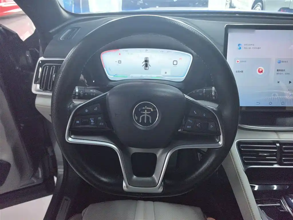 BYD PLUS New Energy 2023 — фото 11
