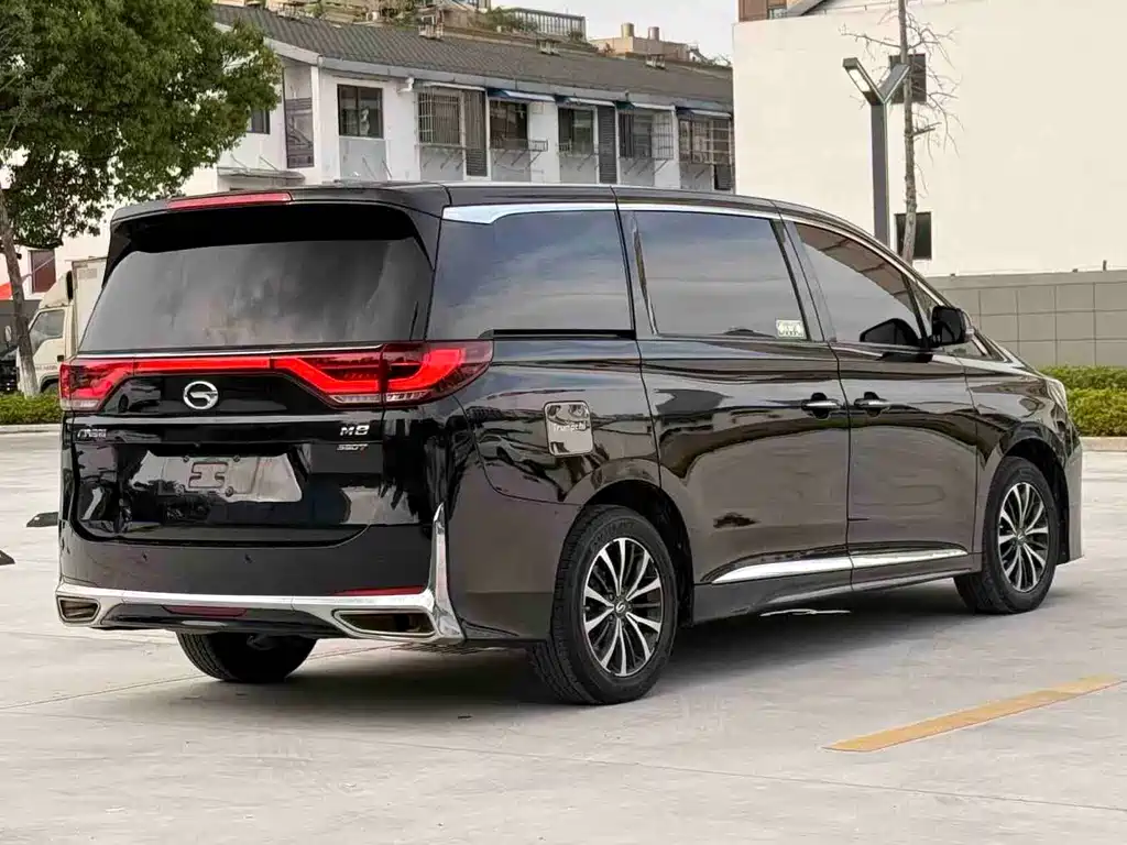 GAC Trumpchi M8 2020 — фото 6