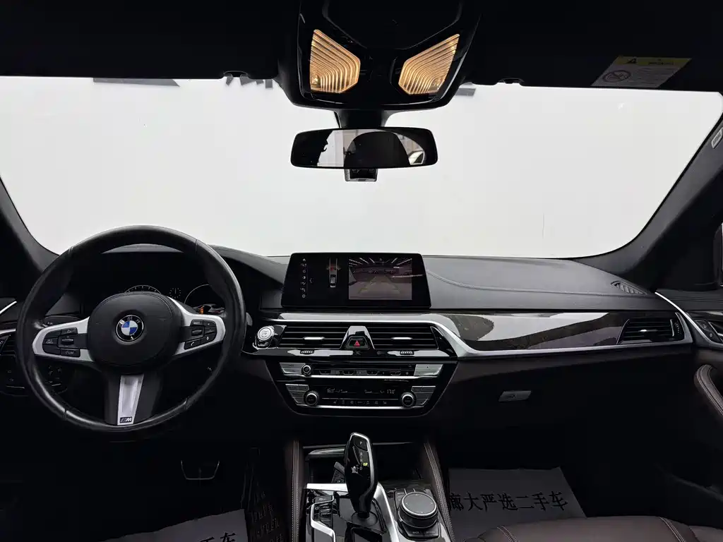 BMW 5 Series 2019