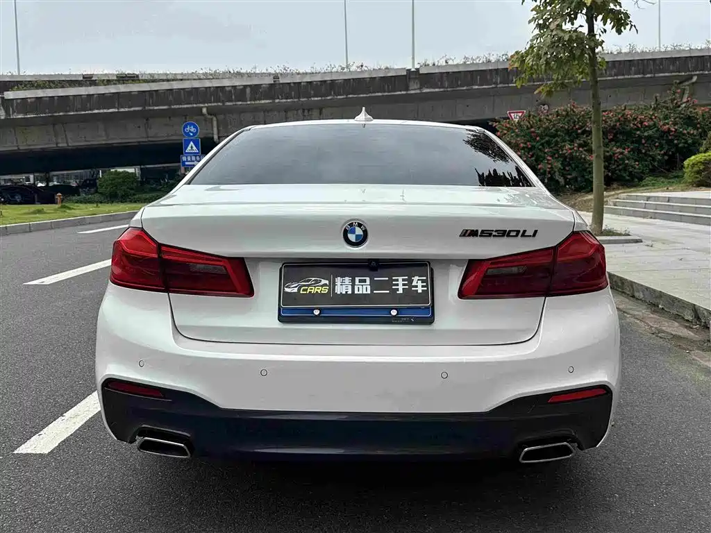BMW 5 Series 2019 — фото 8