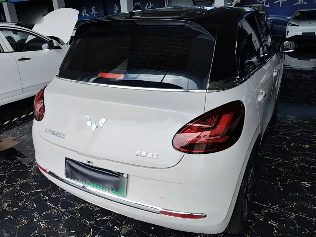 Wuling Bingo 2024