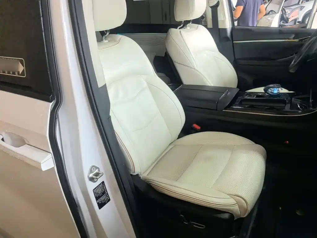 GAC Motor Trumpchi E9 2023 — фото 25