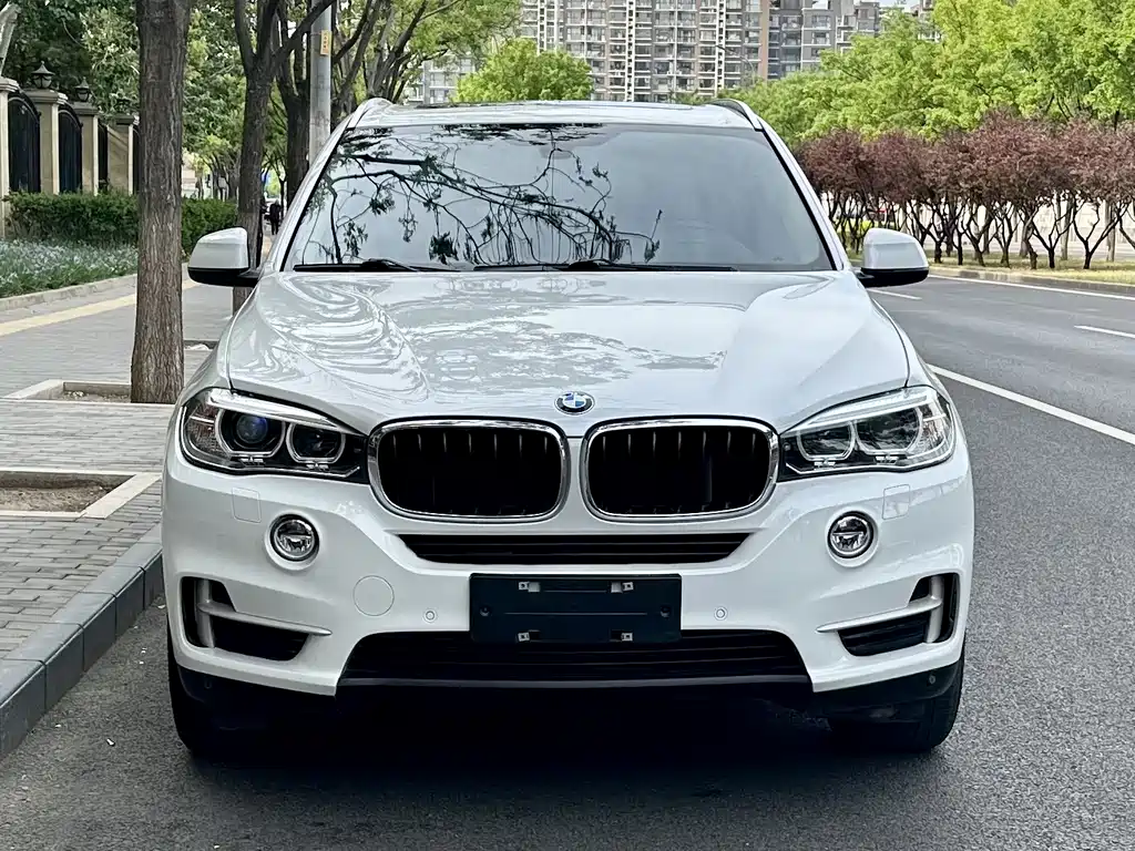 BMW X5 2016 — фото 2