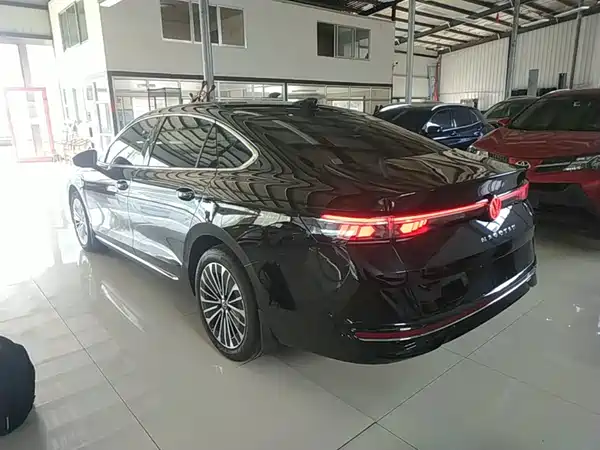Volkswagen Magotan 2024