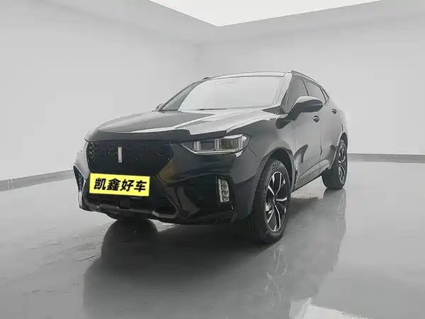 Wey VV5 2019