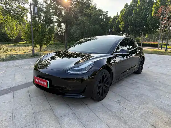 Tesla Model 3 2020