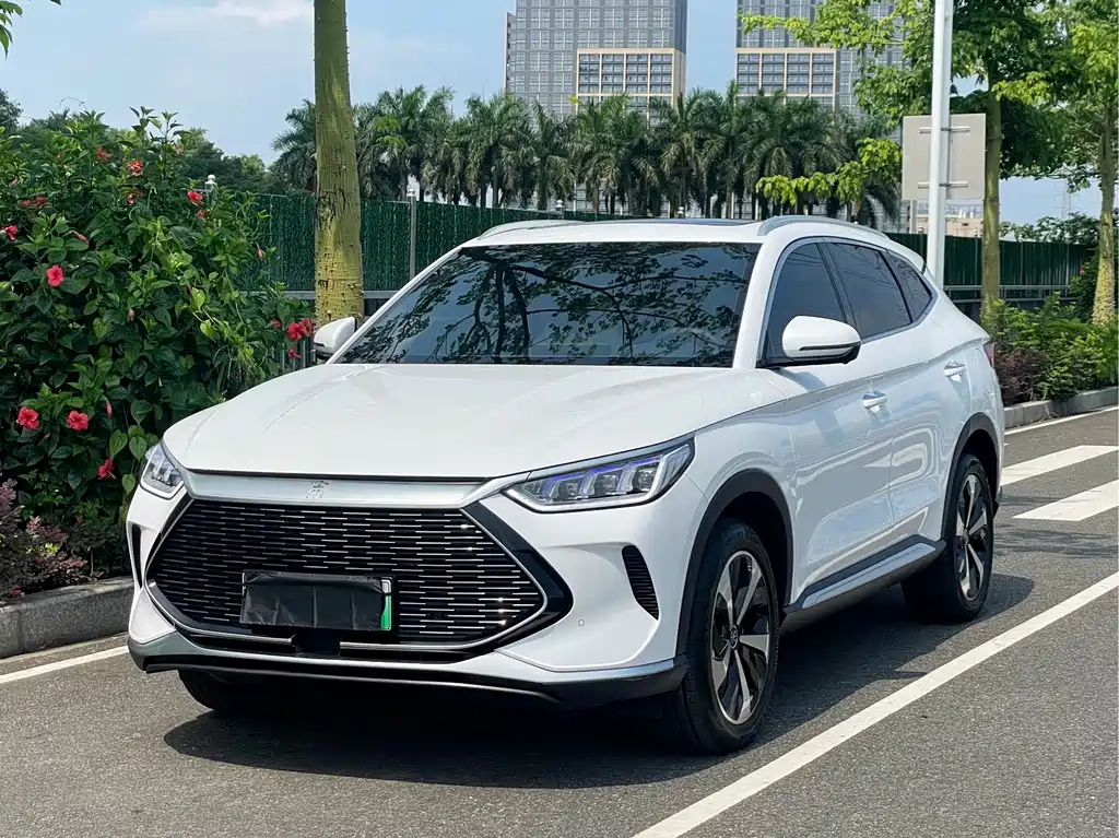 BYD PLUS New Energy 2022 — фото 1