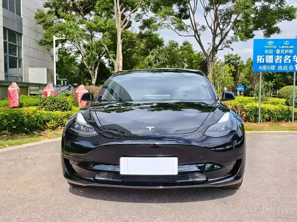 Tesla Model 3 2021 — фото 2