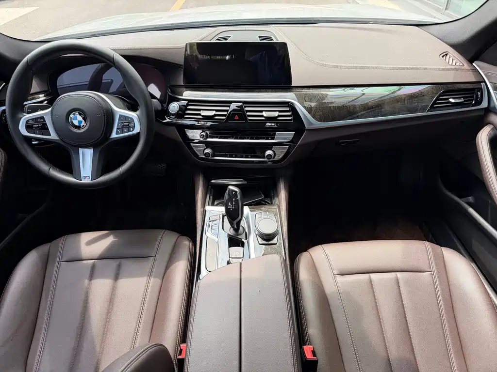 BMW 5 Series 2019 — фото 16