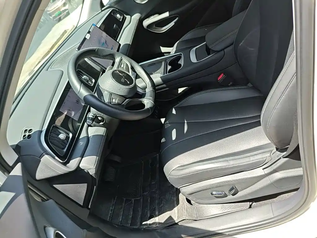 BYD Sealion 05 EV 2025 — фото 15