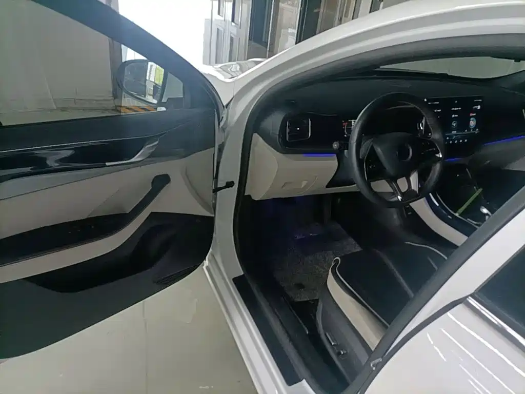 BYD Qin PLUS 2021 — фото 16