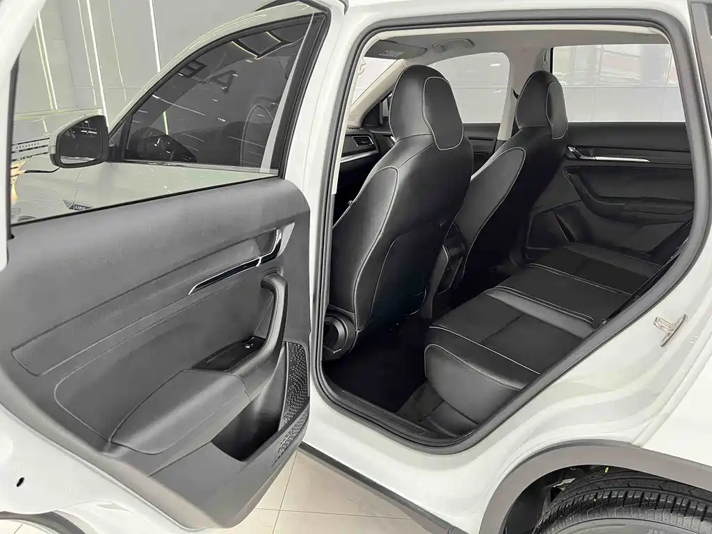 Skoda Kamiq 2024 — фото 10