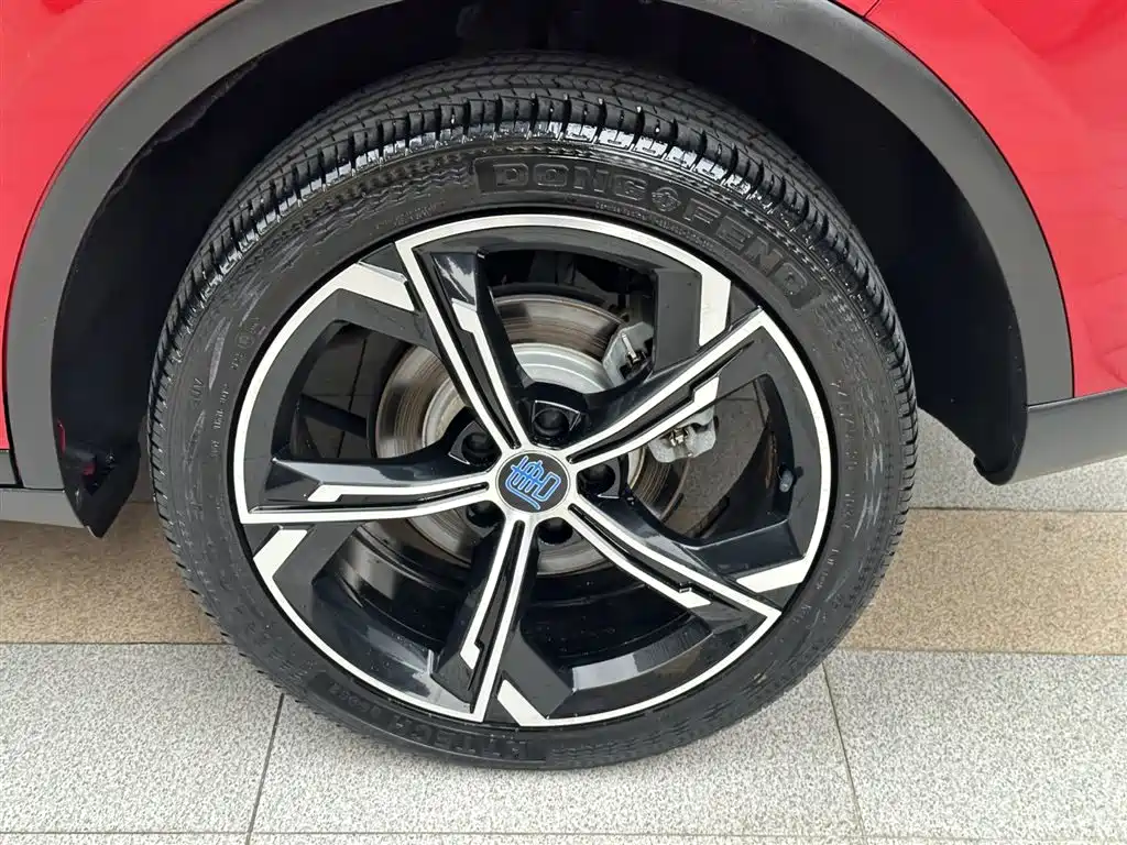 BYD Tang New Energy 2021 — фото 20