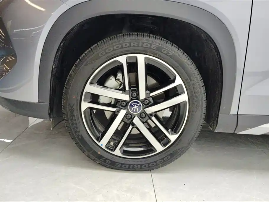 BYD L DM-i 2024 — фото 6