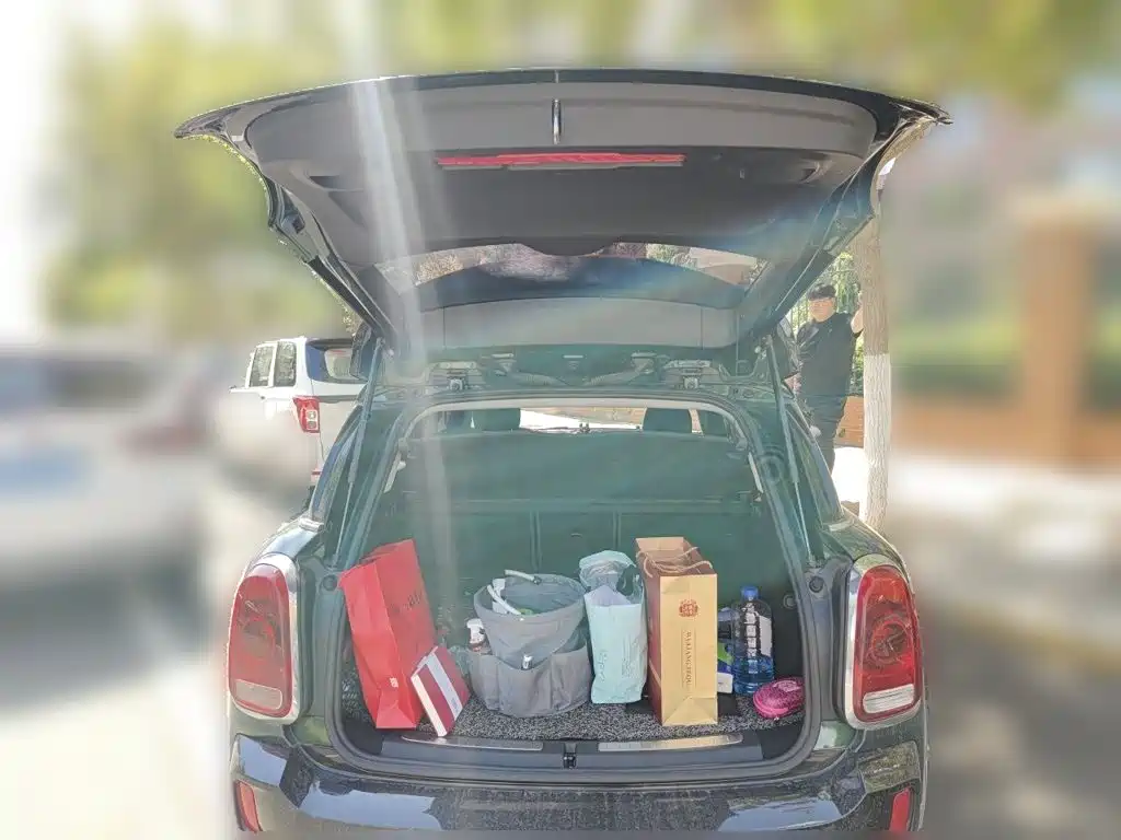 MINI Countryman 2018 — фото 16