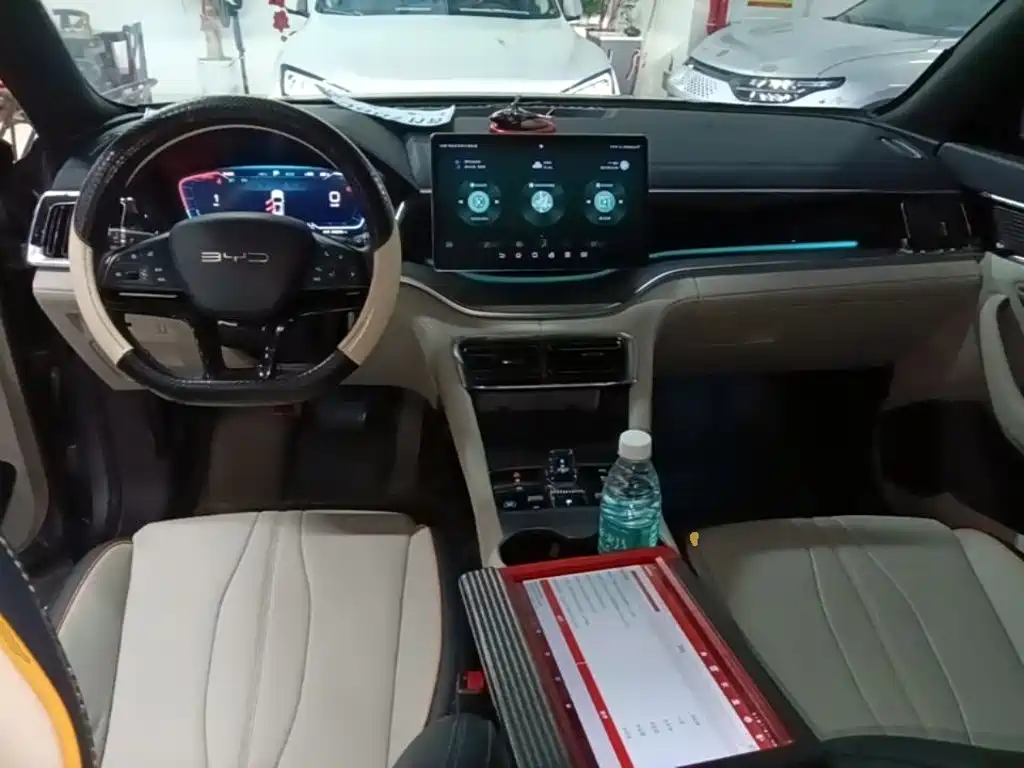 BYD PLUS New Energy 2024 — фото 10