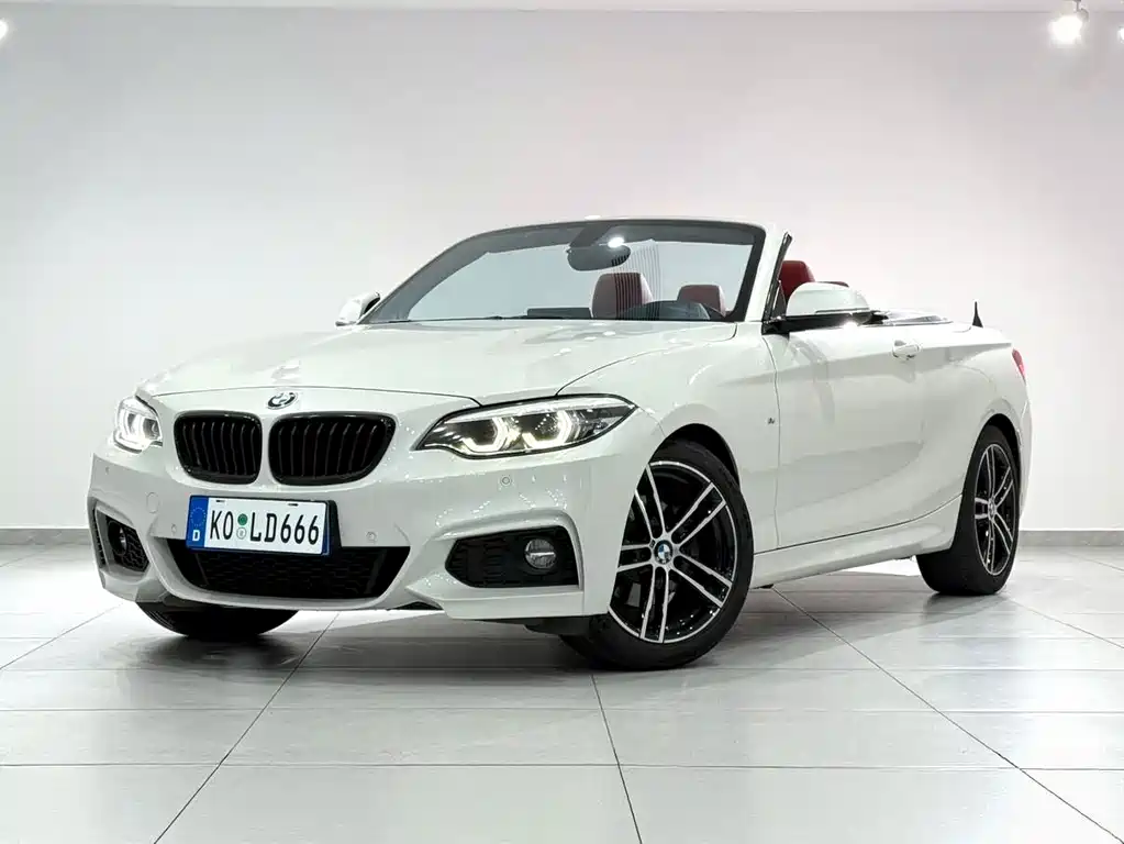 BMW 2 Series 2020 — фото 1
