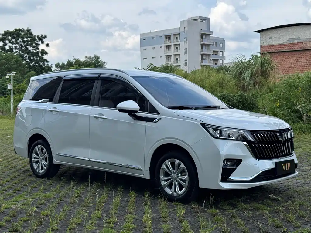 Wuling Jiachen 2024