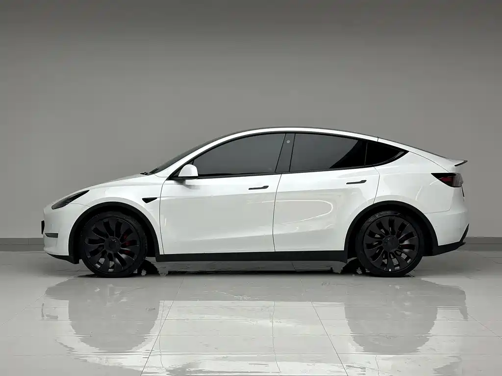 Tesla Model Y 2023 — фото 6