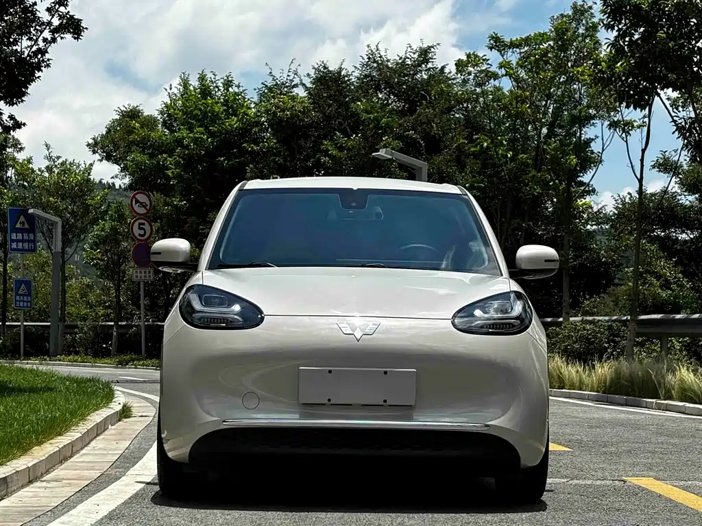 Wuling Bingo 2025