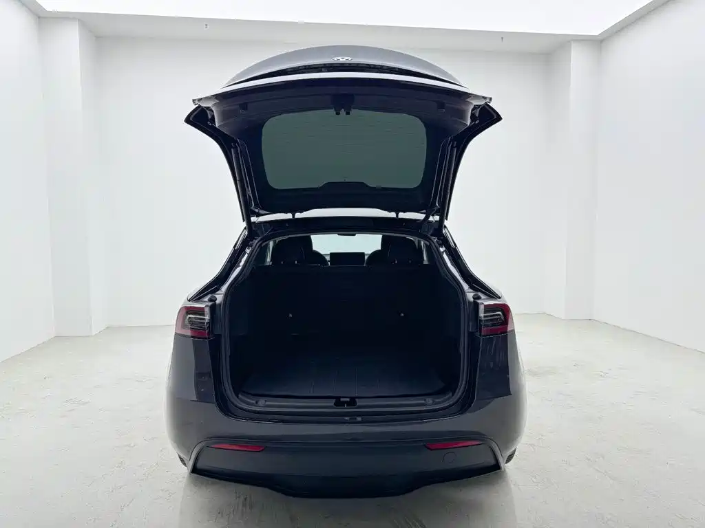 Tesla Model Y 2024 — фото 25