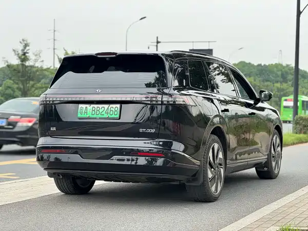 Dongfeng e008 2024