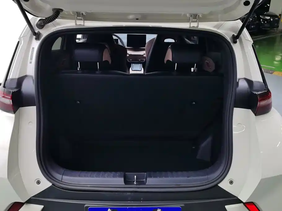 BYD Seagull 2024