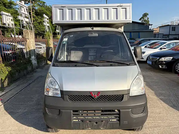 Wuling Rongguang Light Truck 2019