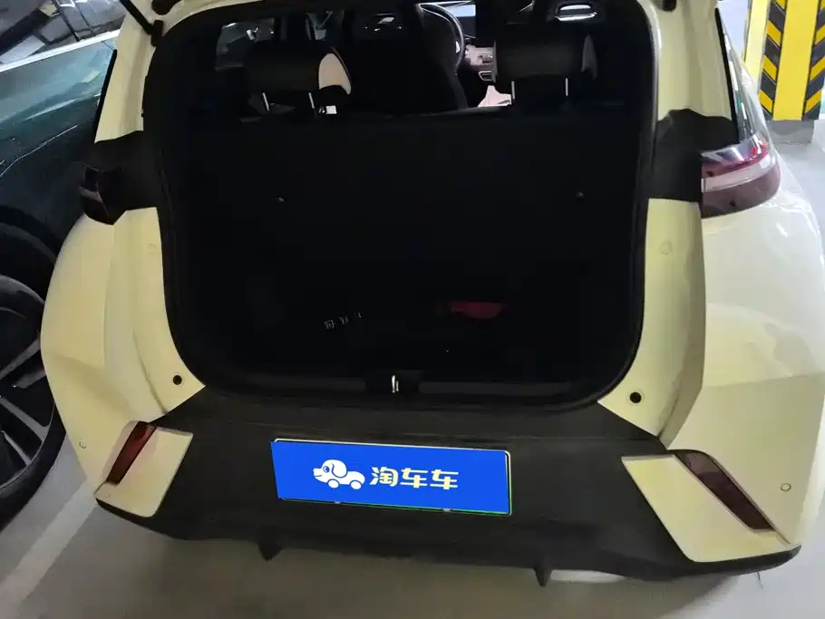 BYD Seagull 2024
