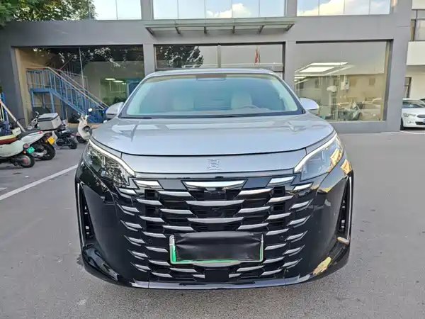 BYD Summer 2025