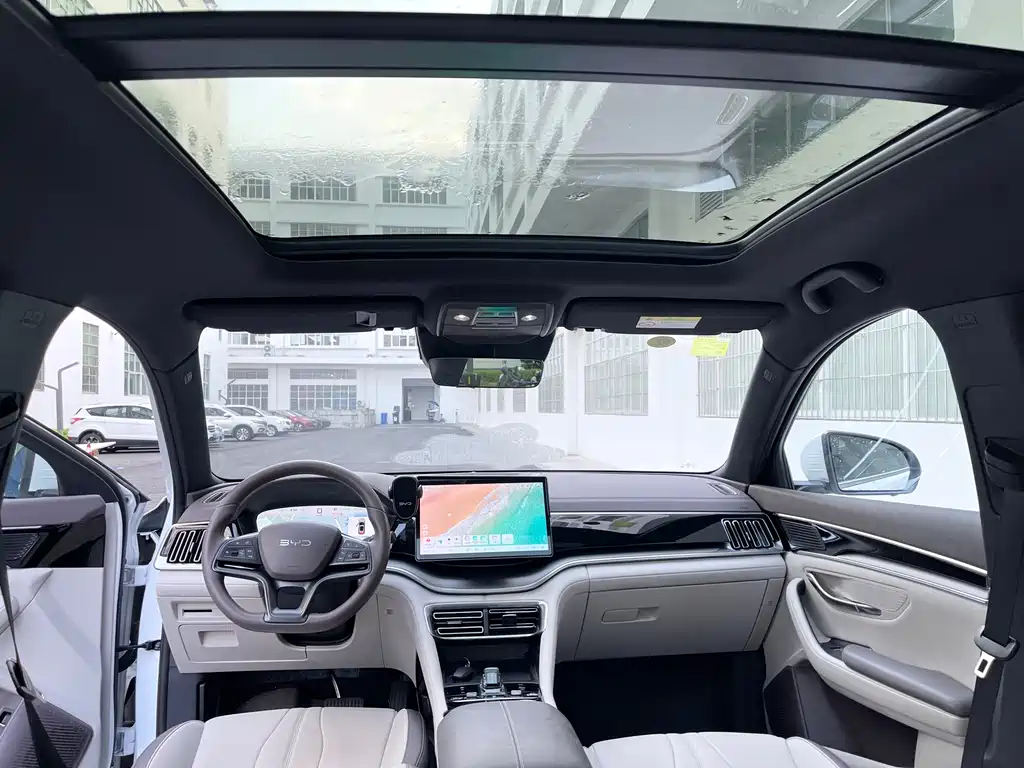BYD PLUS New Energy 2025 — фото 13