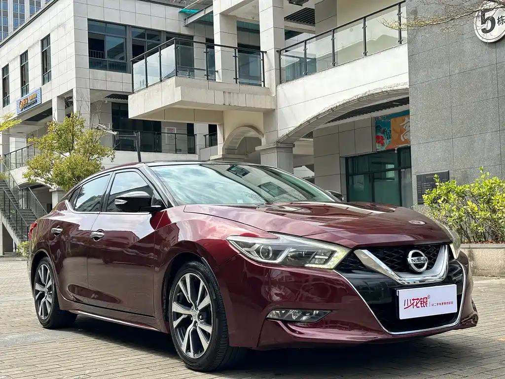 Nissan Cima 2017 — фото 3