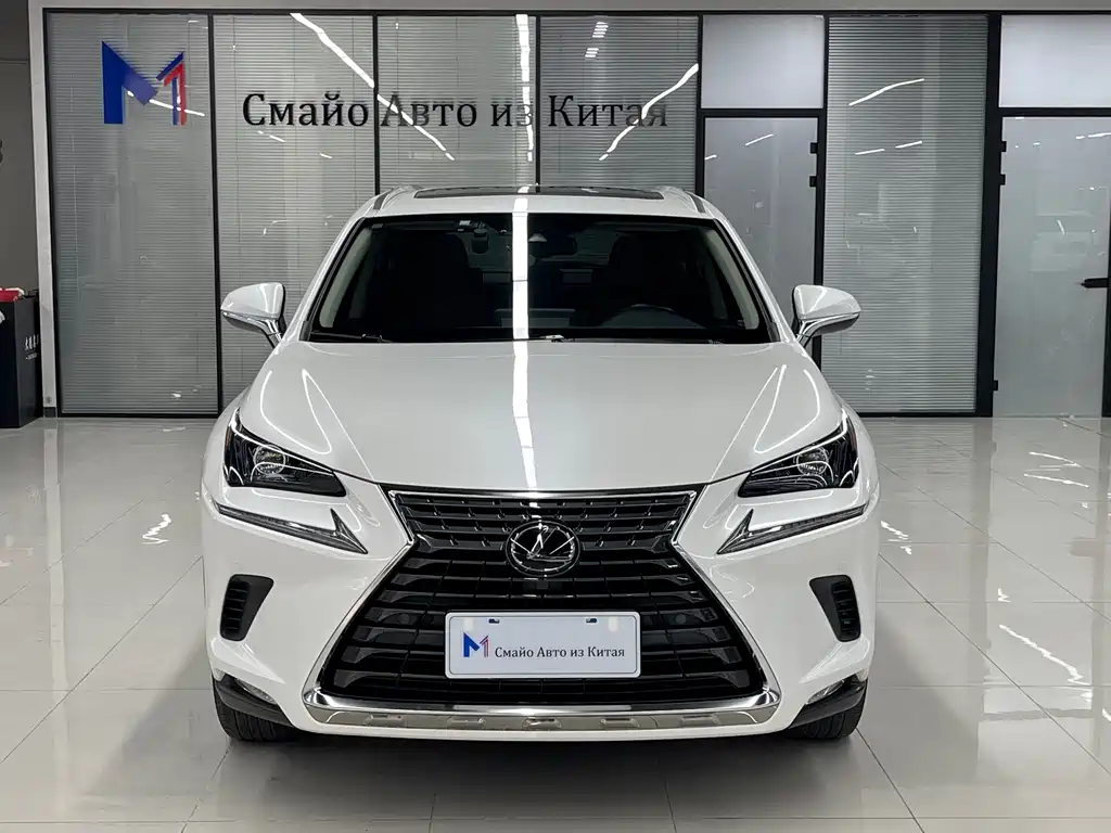 Lexus NX 2020 — фото 1