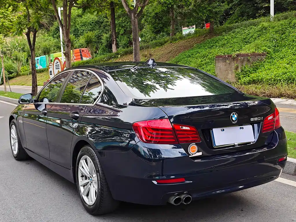BMW 5 Series 2014 — фото 16