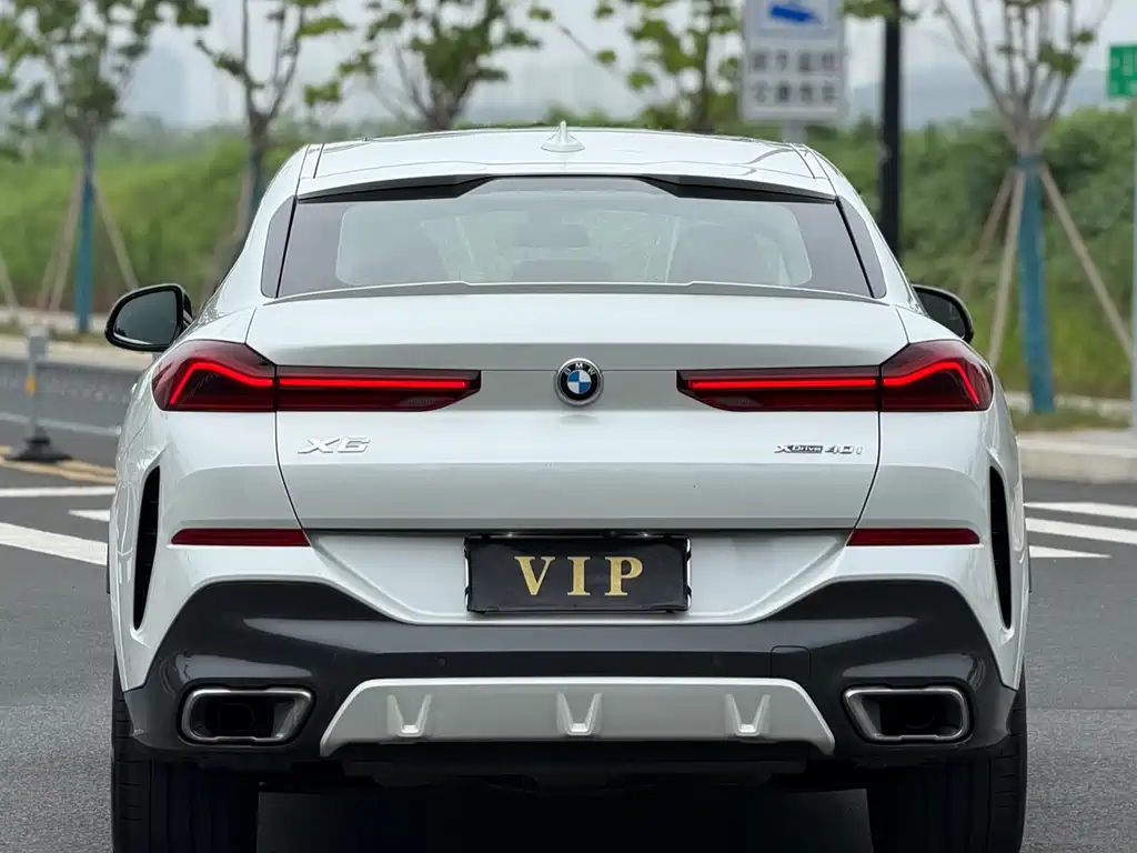 BMW X6 2020 — фото 17