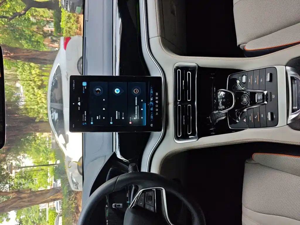 BYD Song PLUS New Energy 2022 — фото 14