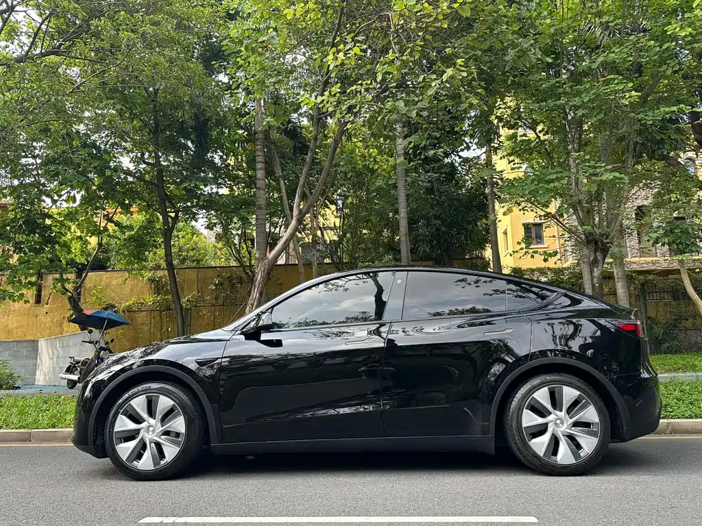 Tesla Model Y 2023 — фото 2