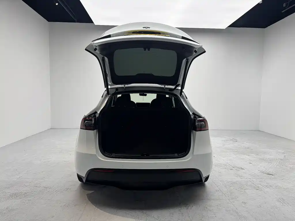 Tesla Model Y 2023 — фото 9