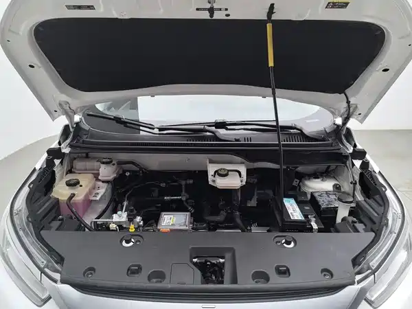 BYD Yuan Pro 2023