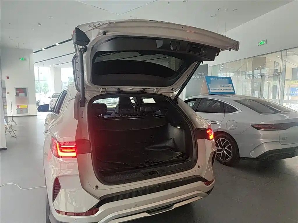 BYD PLUS New Energy 2024 — фото 19