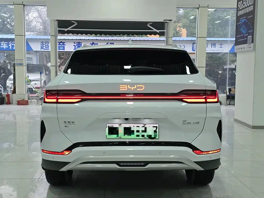 BYD PLUS New Energy 2024 — фото 14
