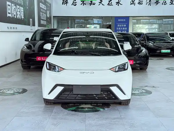 BYD Seagull 2024