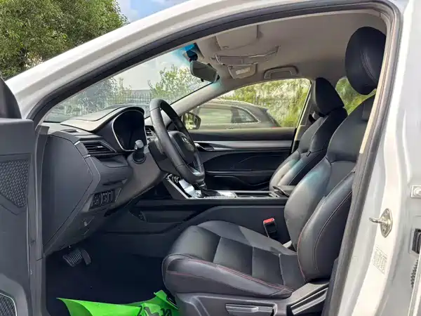 Geely Binrui 2019