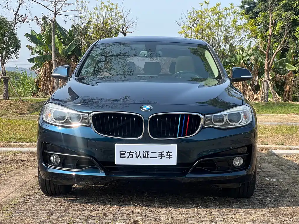 BMW 3 Series GT 2014 — фото 2